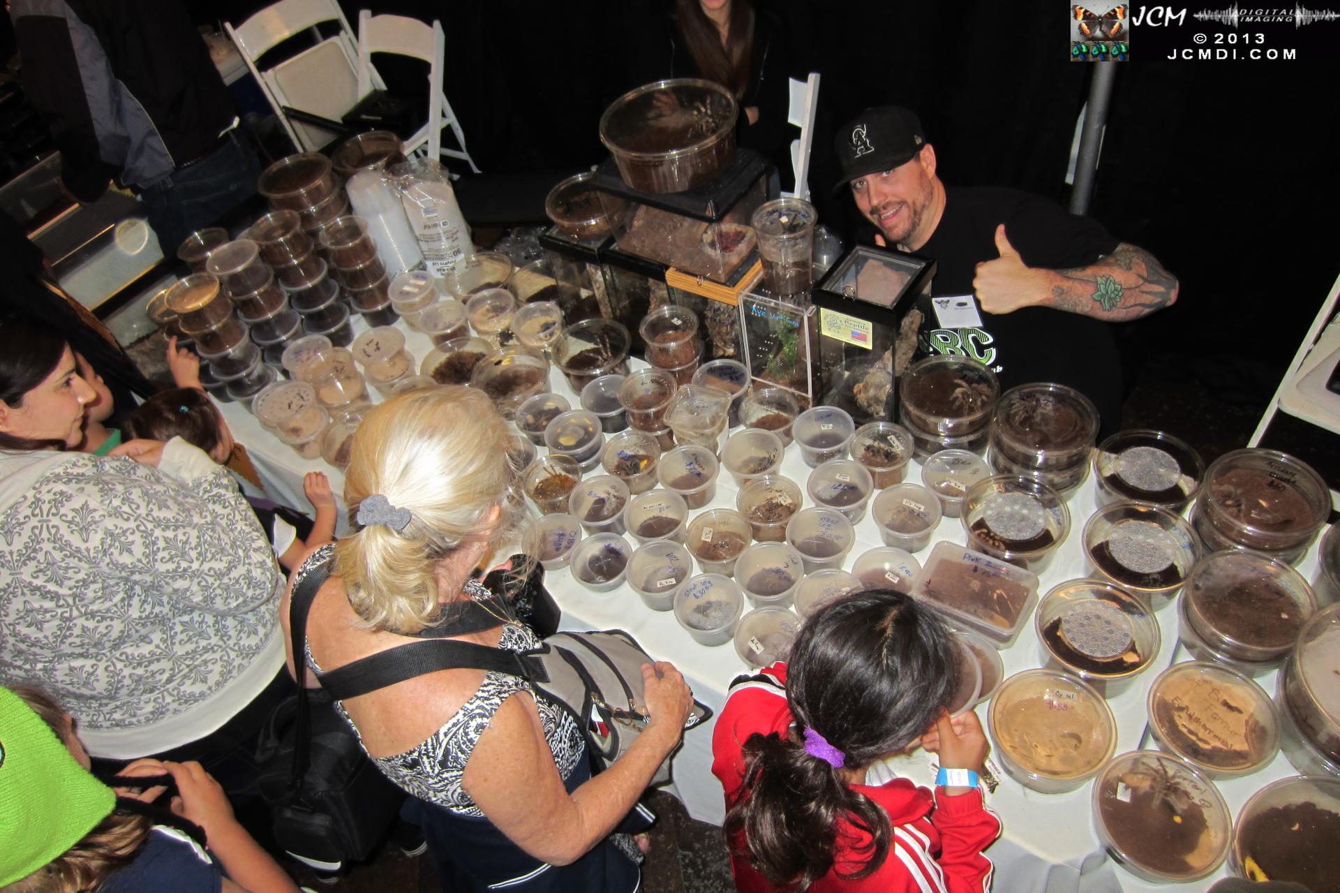 LANHM Bug Fair 2013 crowds and displays